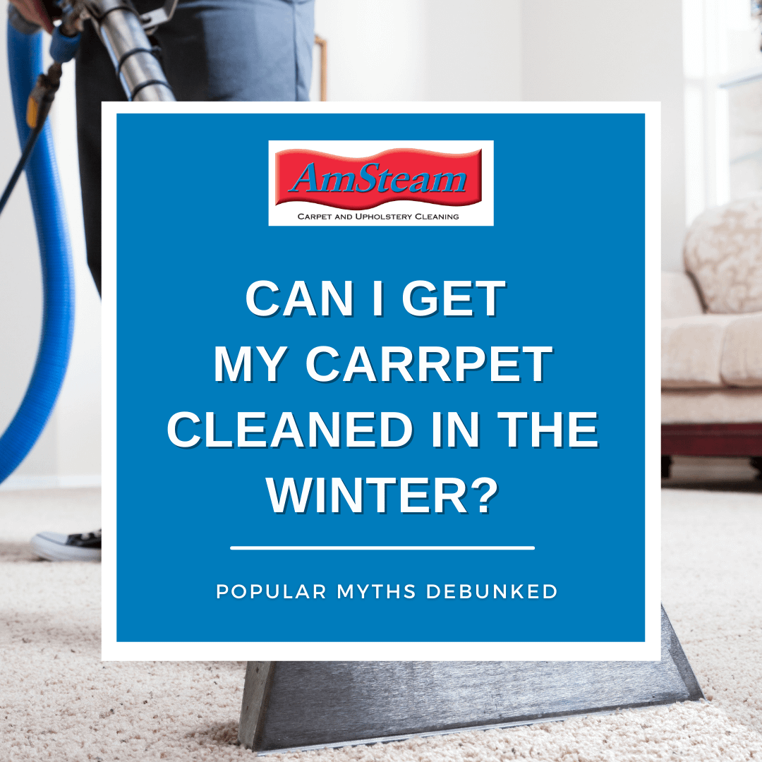 professional carpet cleaner, steam cleaning rugs. Caption says, "Can I get my carpet cleaned in the winter?"