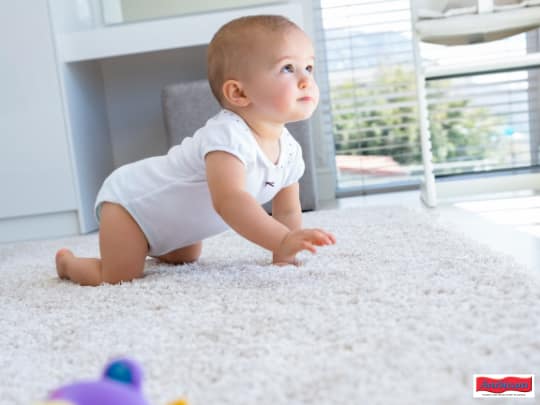 small baby crawling on shag carpeting