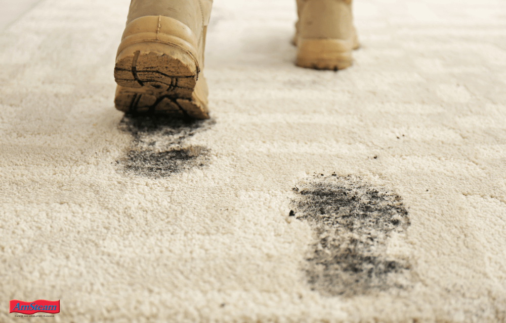Can I get my Carpet Cleaned in the Winter?