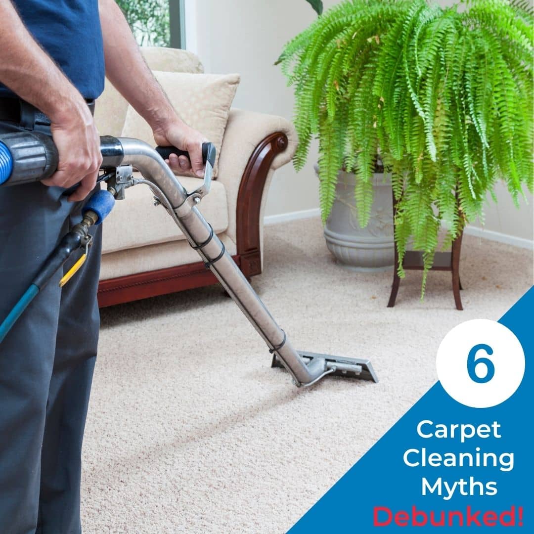 edmonton carpet cleaner pictured in post about carpet cleaning myths