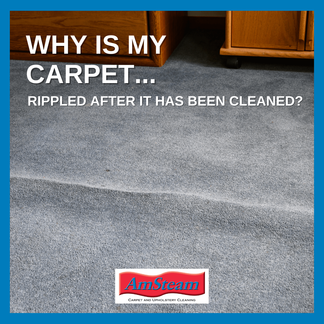 Rippled carpet. Caption says, "Why is my carpet rippled?"