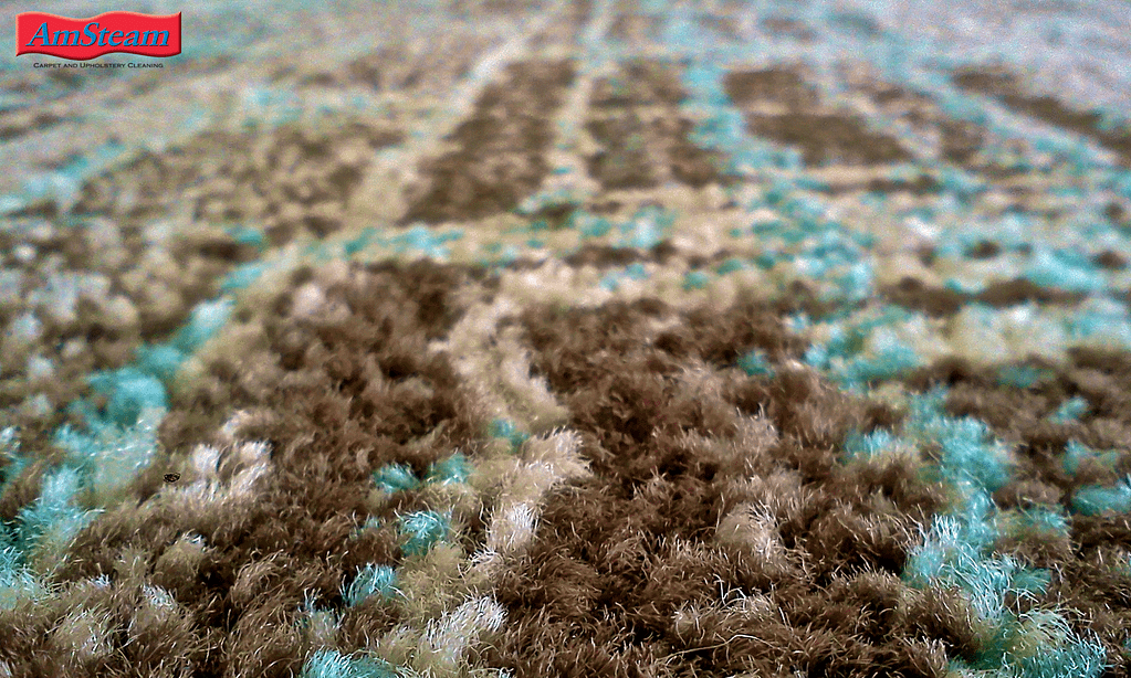 A photo taken low on an area rug to highlight pile height