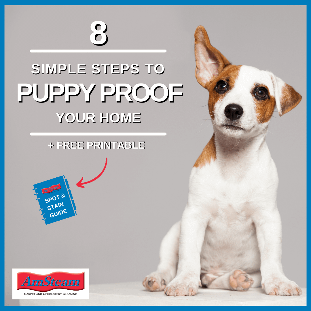 Puppy proof your home Caption says, "8 Simple steps to puppy proof your home"